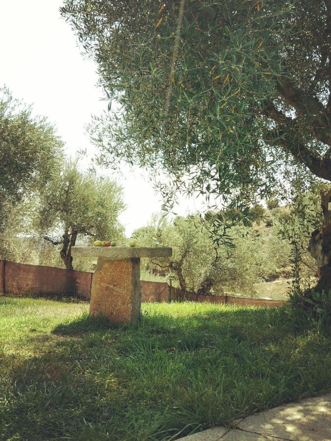 Casa De Pimenteis Villa Vimioso Dış mekan fotoğraf