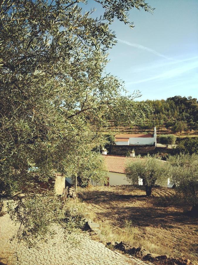 Casa De Pimenteis Villa Vimioso Dış mekan fotoğraf