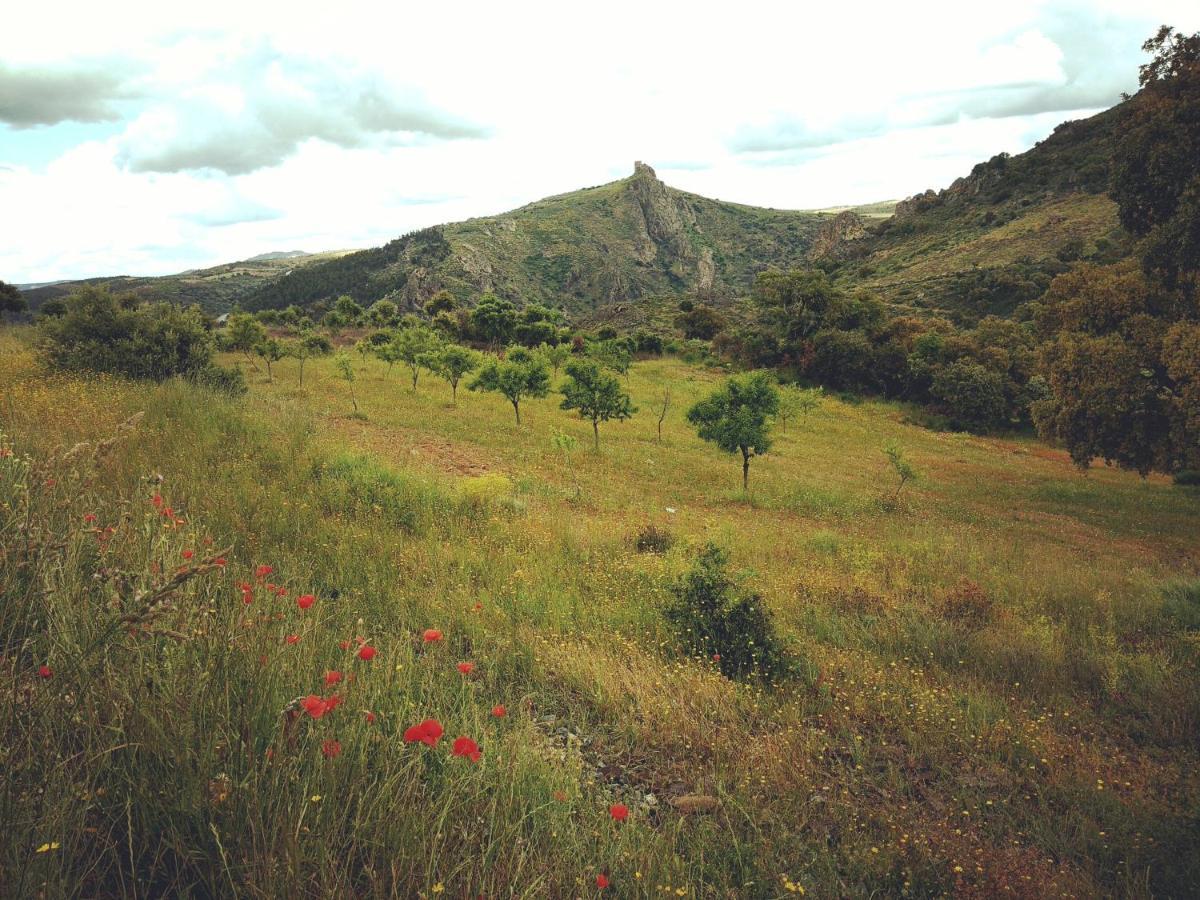 Casa De Pimenteis Villa Vimioso Dış mekan fotoğraf