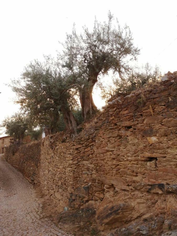 Casa De Pimenteis Villa Vimioso Dış mekan fotoğraf